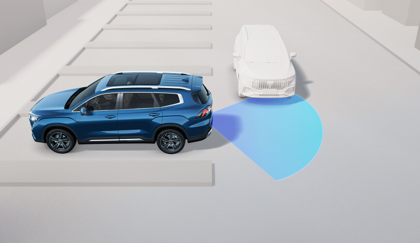 <p>Мониторинг слепых зон</p>